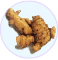 �N�j�b�c�E�R��